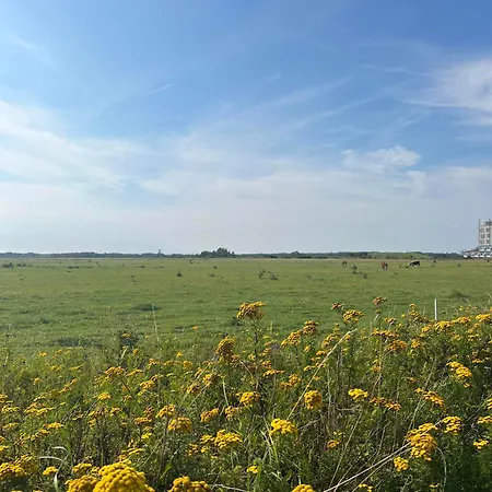 Lejlighed Large House In New York Style With A Private Rooftop Terrace. *